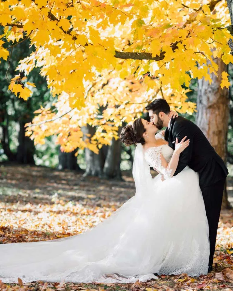 Classic Lace Wedding Dresses with Long Sleeve Sexy V-Neck 2021 Tulle Bridal Gowns Appliques