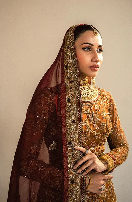 Embellished Lehenga and Choli Pakistani Bridal Dress