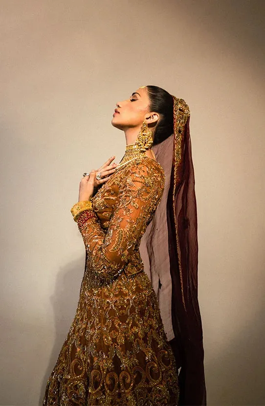 Embellished Lehenga and Choli Pakistani Bridal Dress