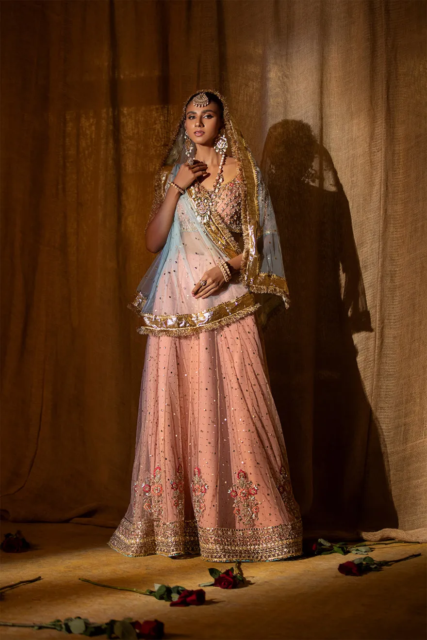 Embroidered Raw Silk Lehenga Choli Pakistani Wedding Dress
