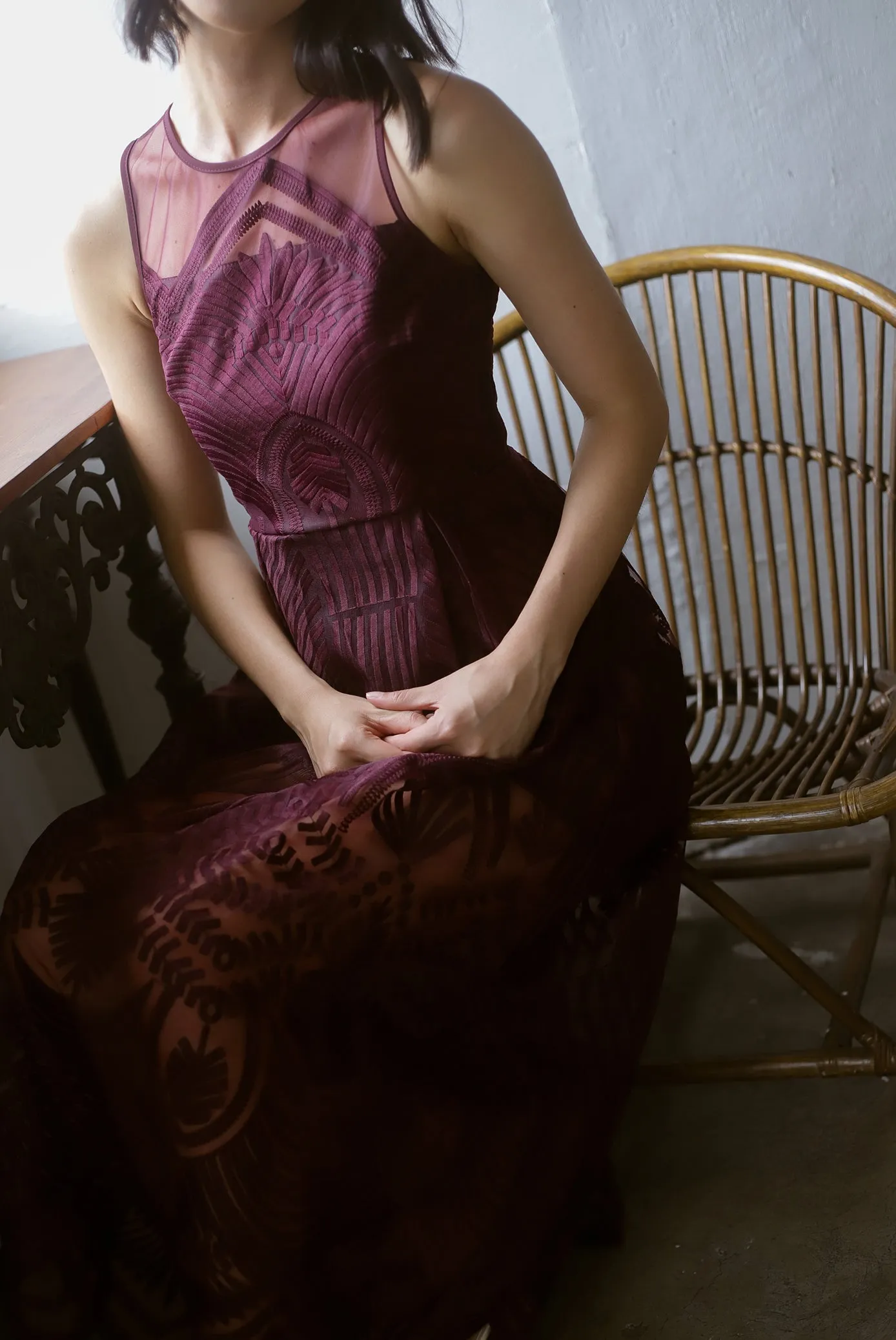 Harleigh Embro Mesh Dress In Deep Wine