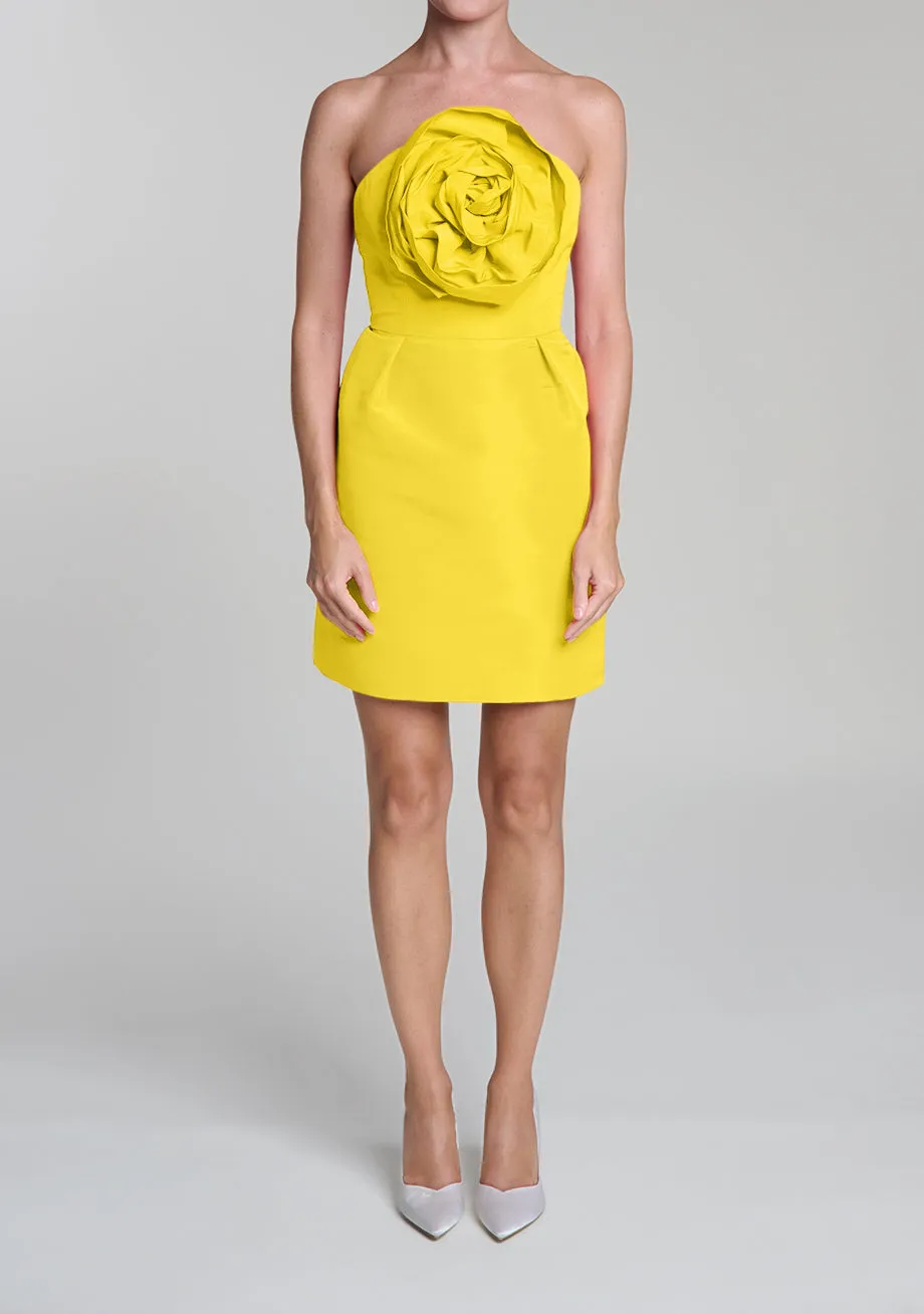 Ivette Silk Faille Mini Dress