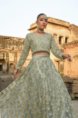 Lengha Choli Dupatta Traditional Bridal Dress #BS714