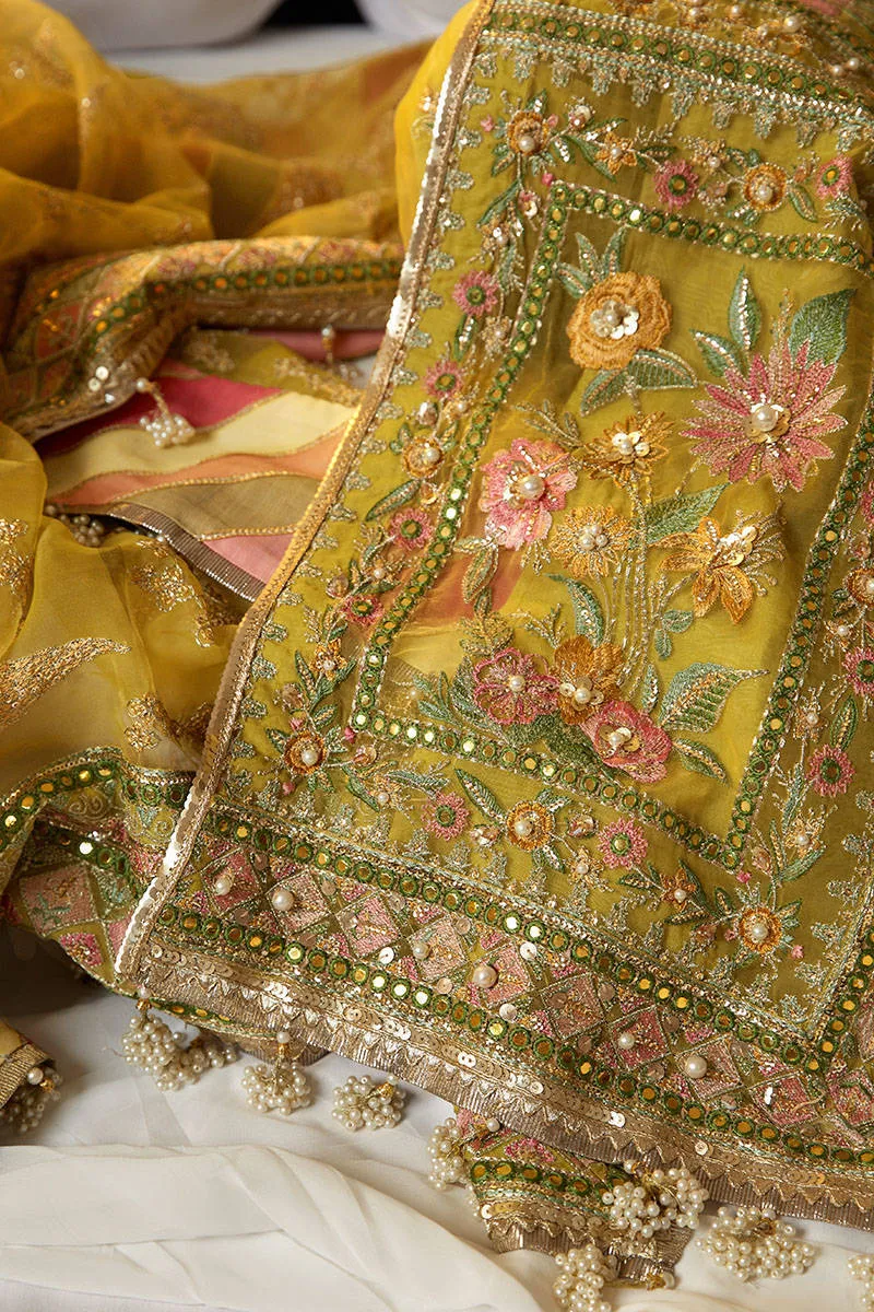 MOHSIN NAVEED RANJHA | WEDDING COLLECTION 2023 - NIMBU