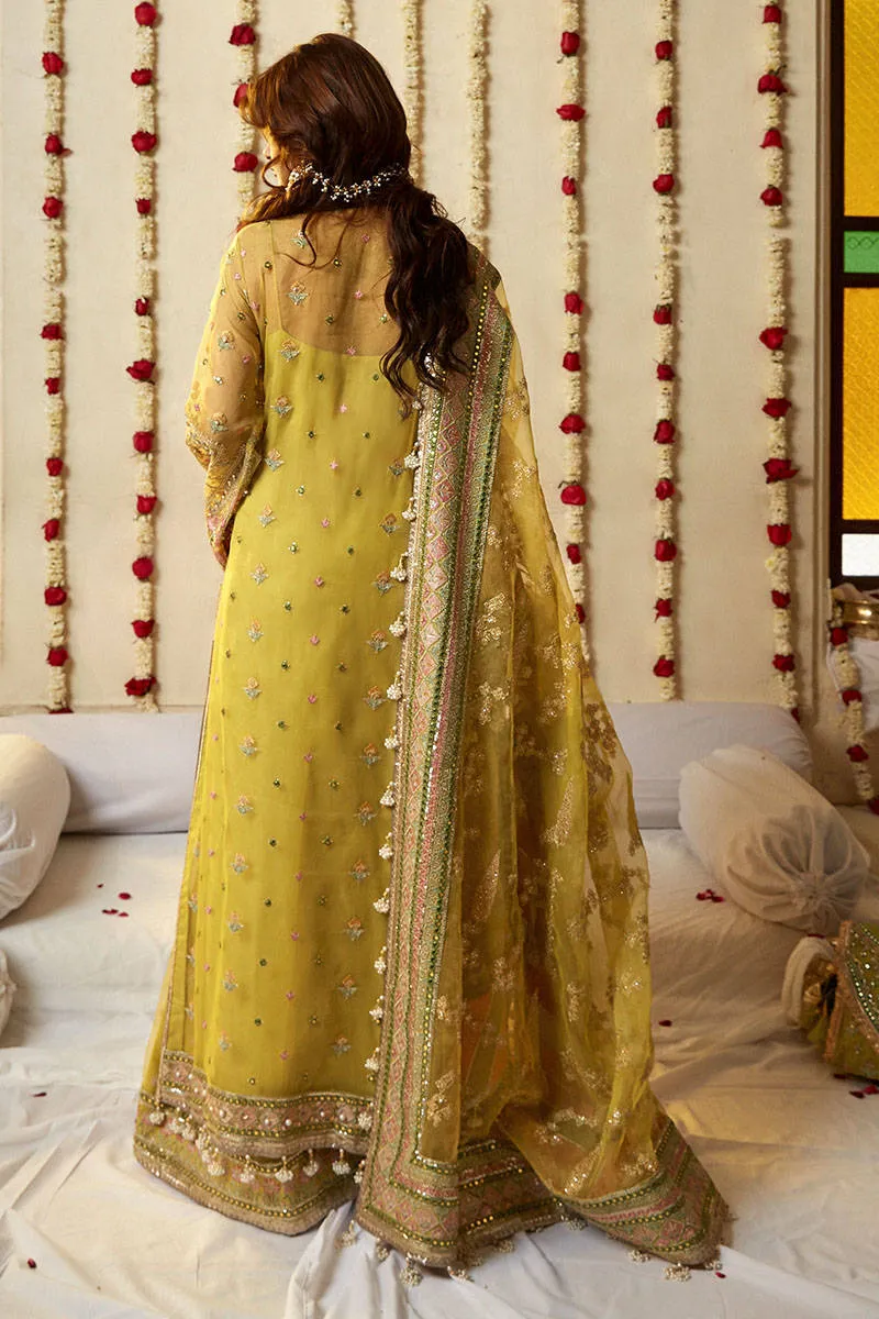MOHSIN NAVEED RANJHA | WEDDING COLLECTION 2023 - NIMBU