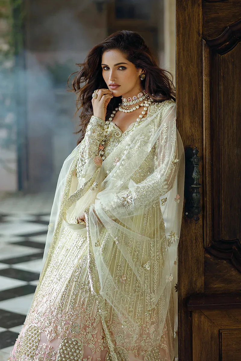 Mushq Stardust Wedding Collection 2024 | Cosmic Couture