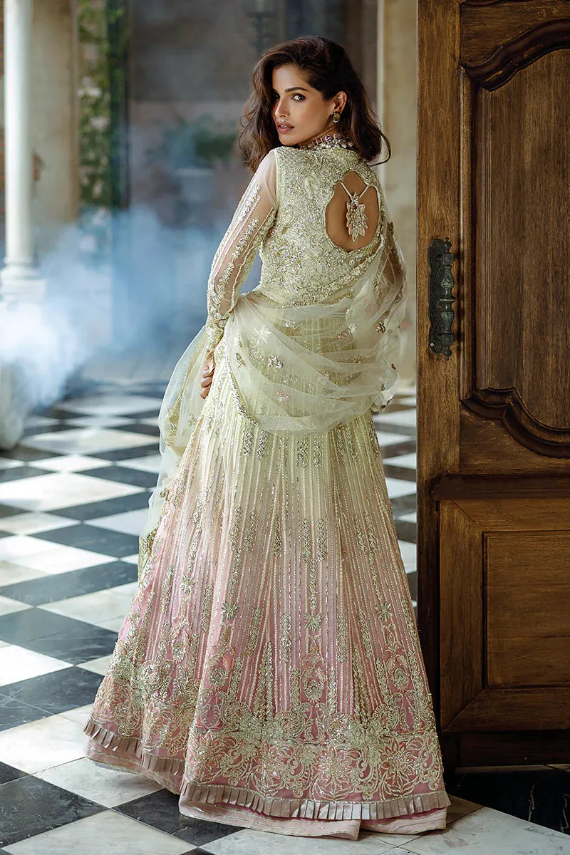 Mushq Stardust Wedding Collection 2024 | Cosmic Couture