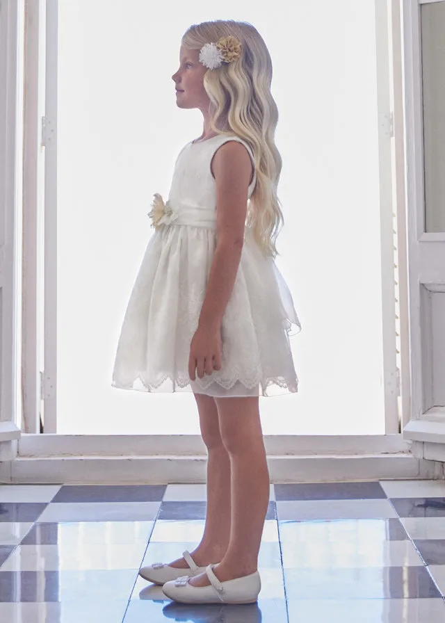 Organza Embroidered Dress