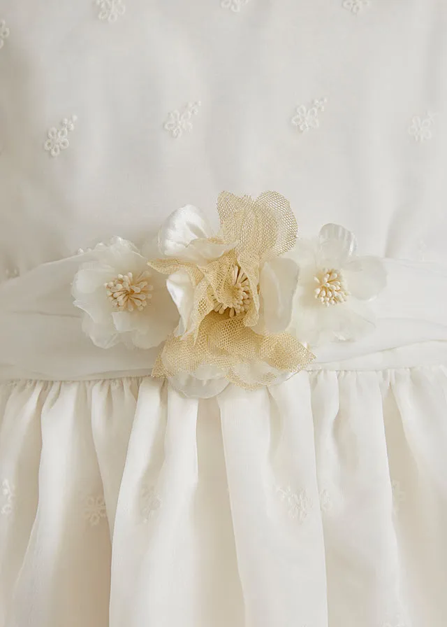 Organza Embroidered Dress