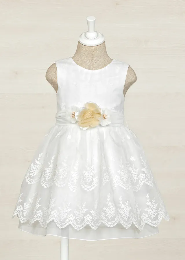 Organza Embroidered Dress