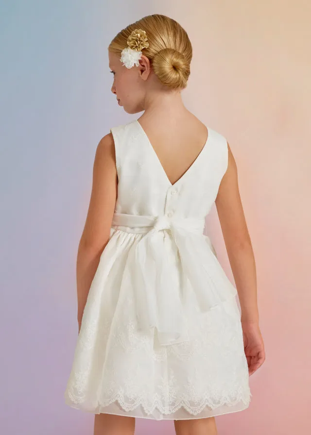Organza Embroidered Dress