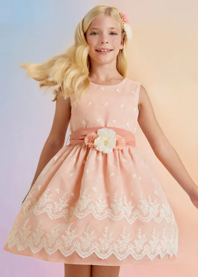 Organza Embroidered Dress