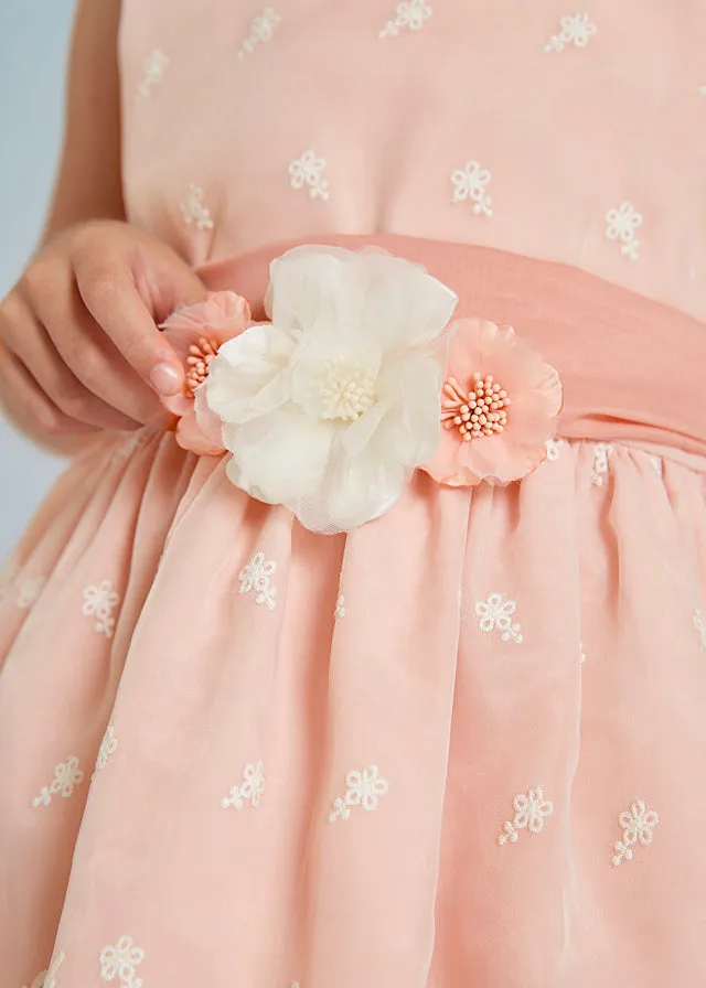 Organza Embroidered Dress