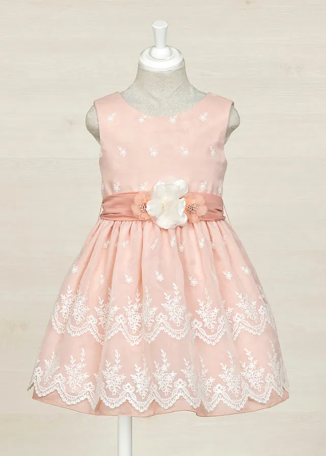 Organza Embroidered Dress