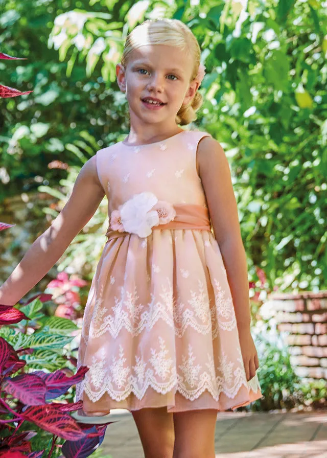 Organza Embroidered Dress