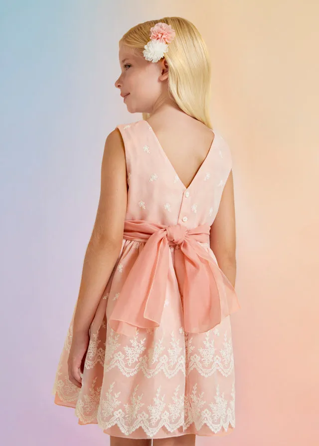 Organza Embroidered Dress