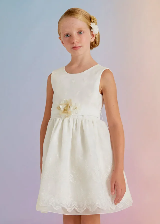 Organza Embroidered Dress
