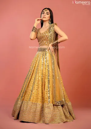 Pakistani Mehndi Lehenga Choli Bridal Dress #BN1028