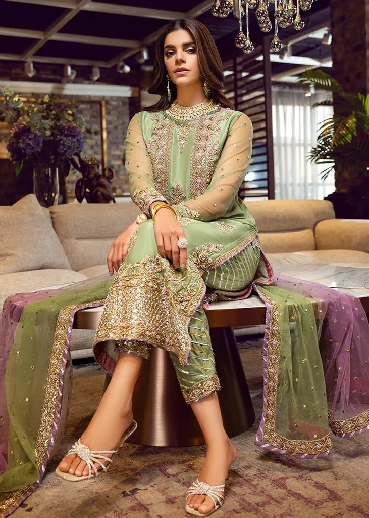Pista Plain Raw Silk Dresses Pakistani Party Wear Outfit