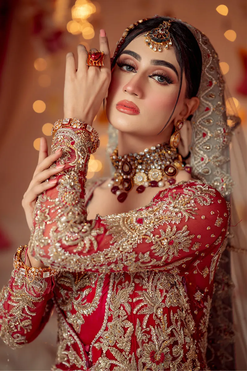Premium Red Embroidered Dreamy Pakistani Bridal Pishwas Lehenga